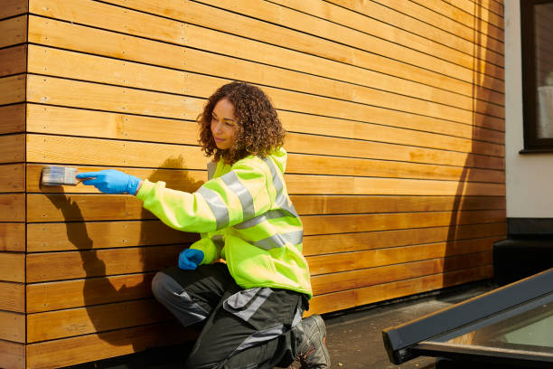 Affordable Siding Repair and Maintenance Services in Dublin, VA